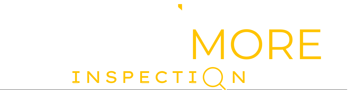 Technomore Inspection Blog